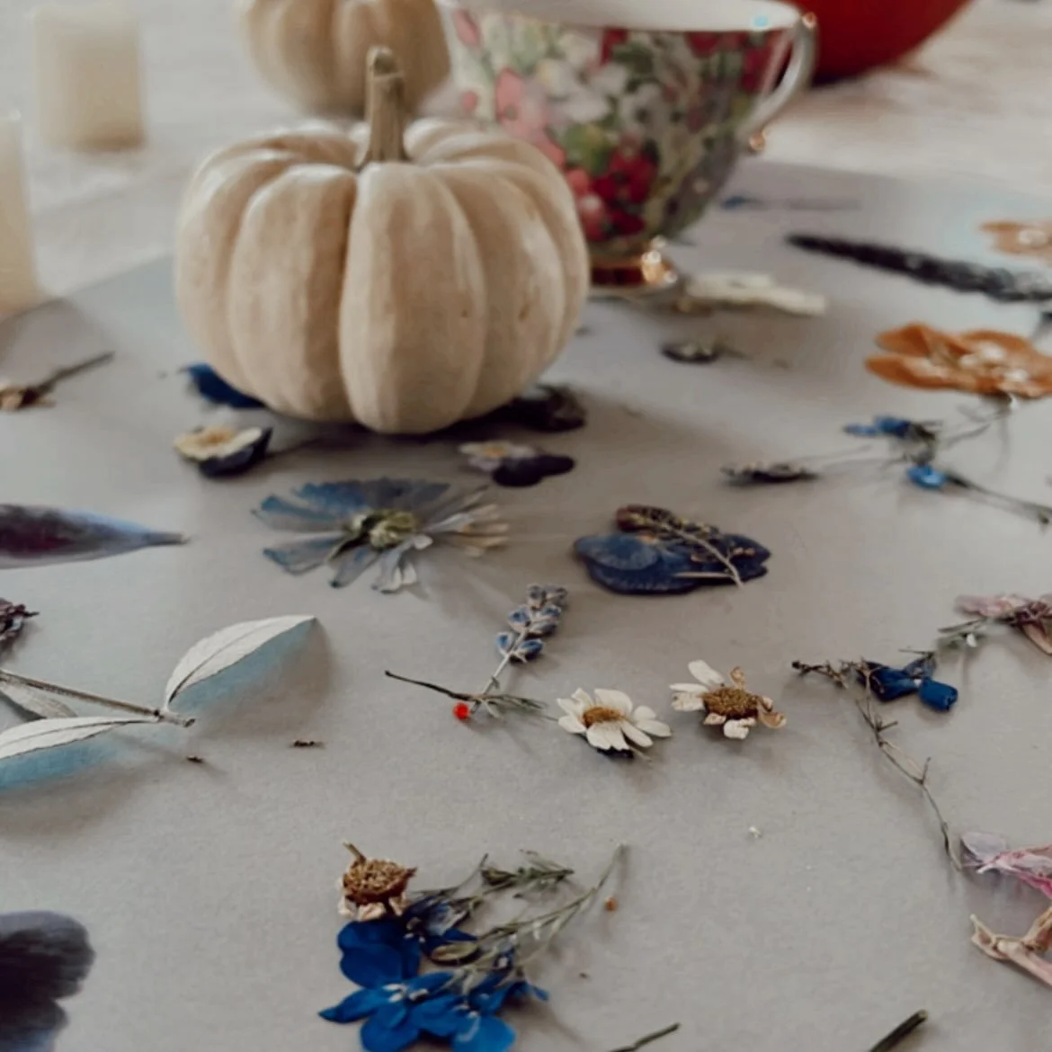 Our annual pumpkin decorating afternoon is happening this friday! We spent the summer pressing our gomegrown flowers for you to use on your pumpkins
