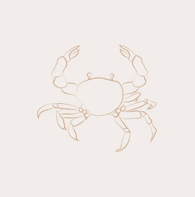 Screenshot 2026-02-20 092811.png