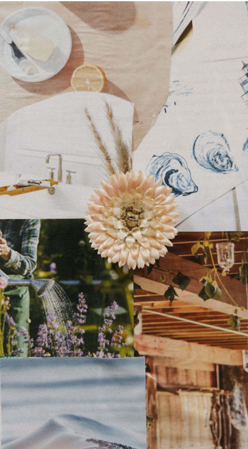 Screenshot 2026-02-19 143909.png (Copy)