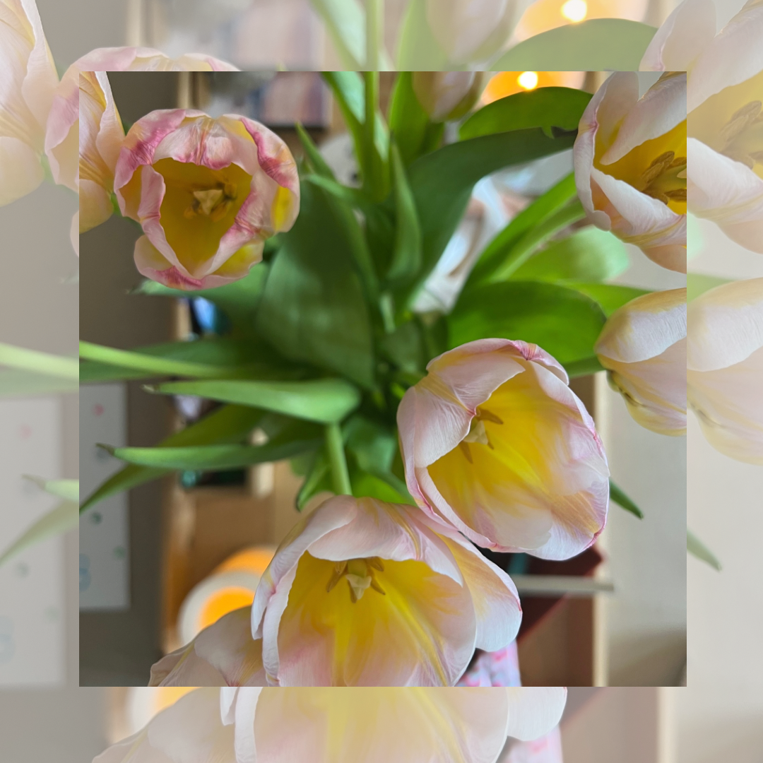 creative currents : signs of bloom