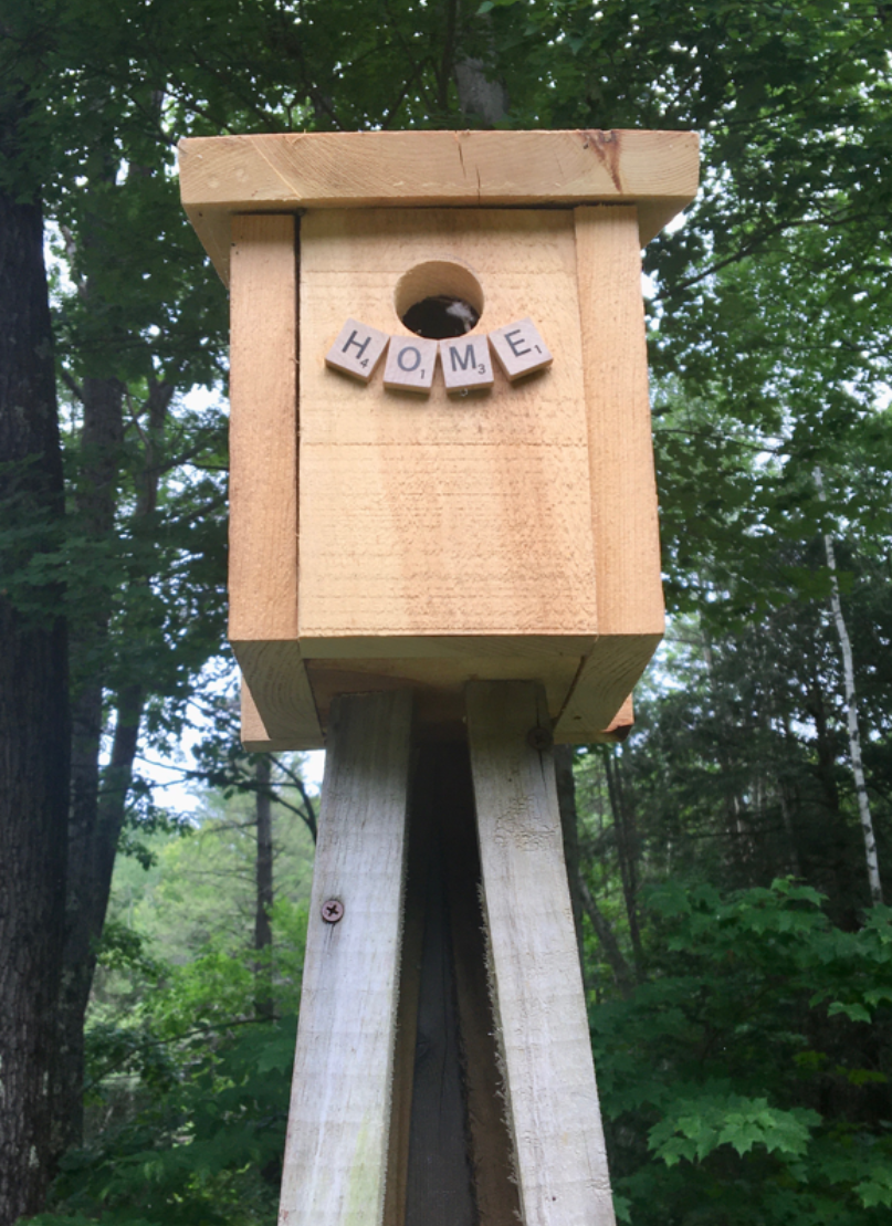 Screenshot 2026-02-19 144653.png