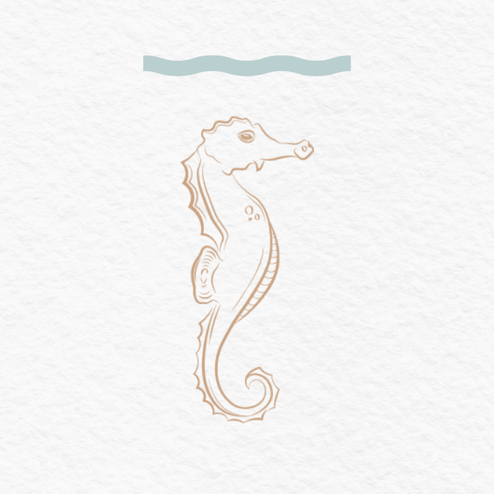 Illustration of a seahorse with water above it.