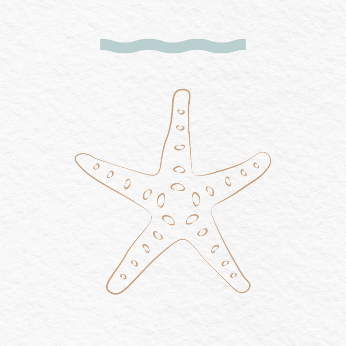 A simple, line-drawn starfish with small oval markings on its arms, located underwater near the water's surface.