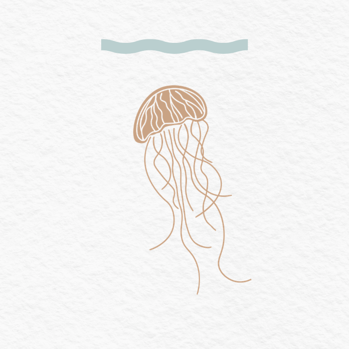 Drawing of a jellyfish with long, flowing tentacles underwater against a plain background.