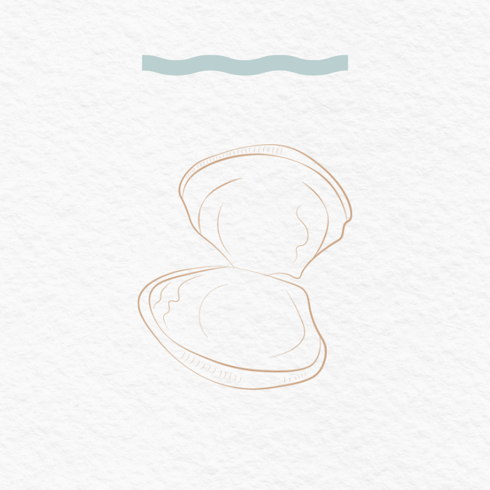 Open clam shell with empty interior, water ripple design above.