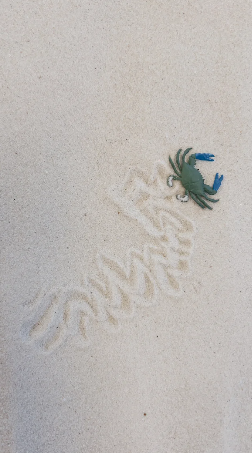 Littles SeaSource Studio | March 26th