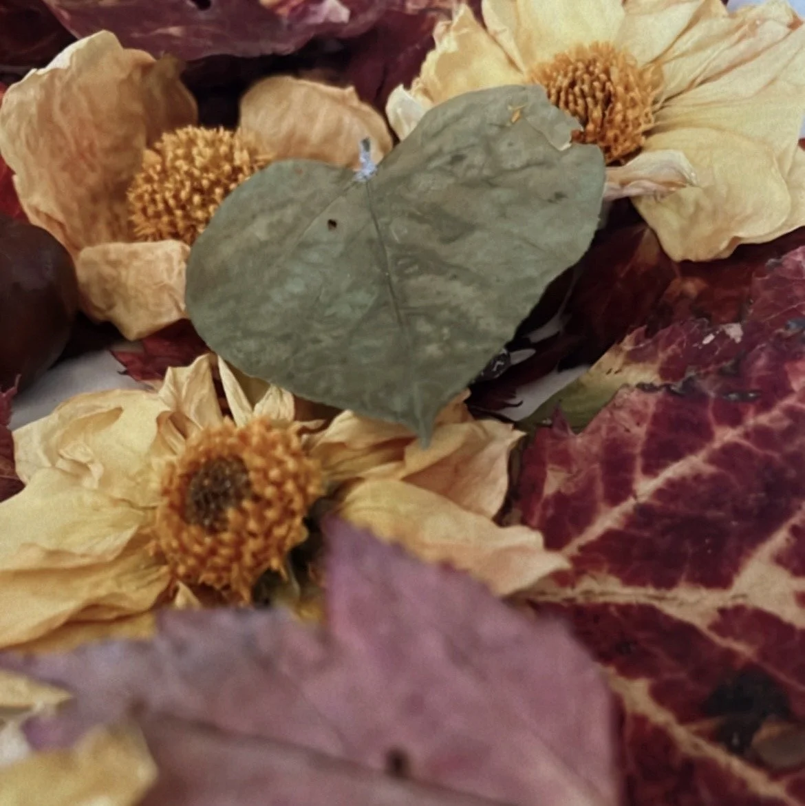 Little Tides: A Caregiver + Child Process Art Studio