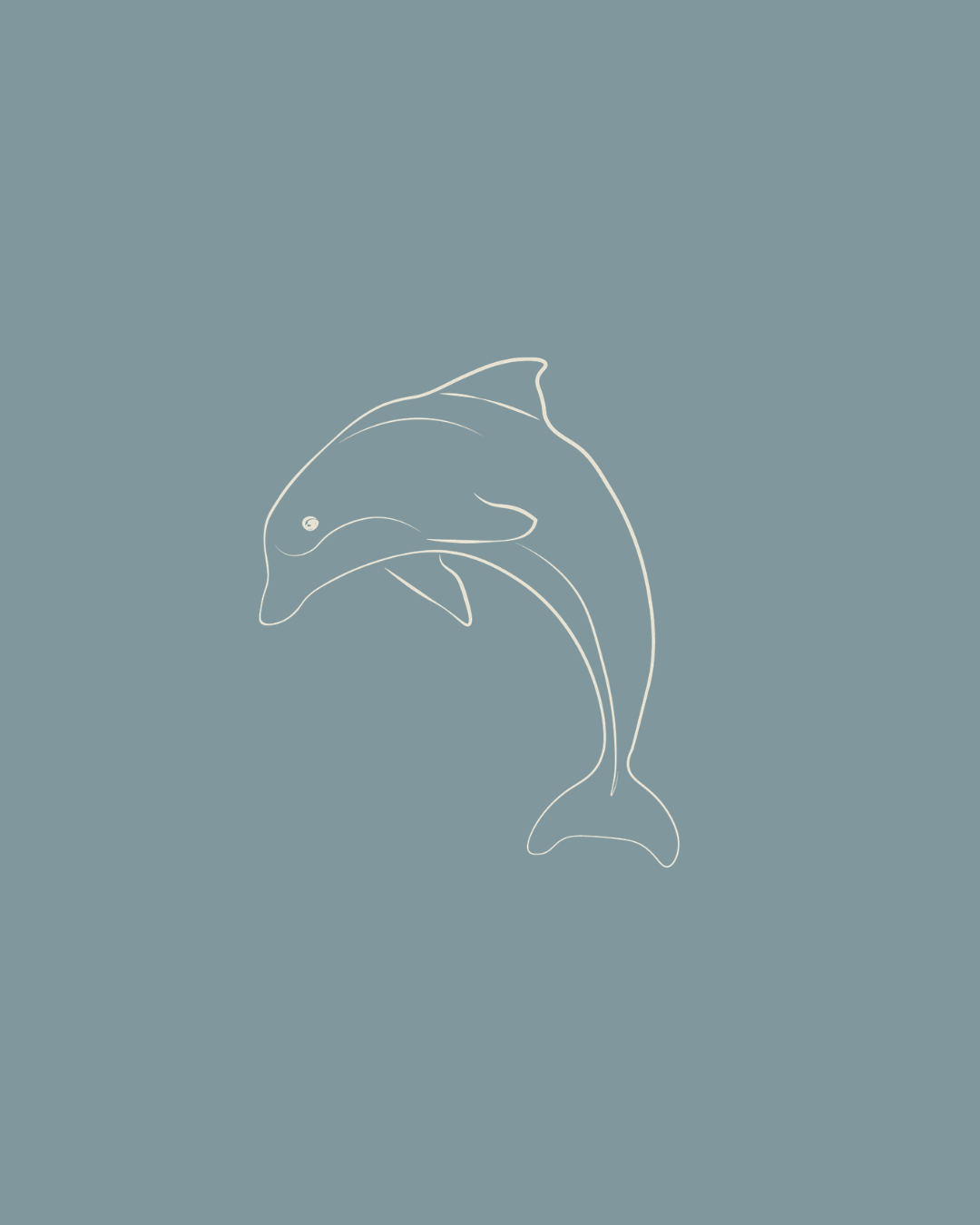 Littles Seasource™ Studio: September Dolphin Series