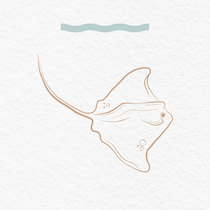 A simple line drawing of a stingray swimming underwater with a wavy blue line above it representing the water surface.