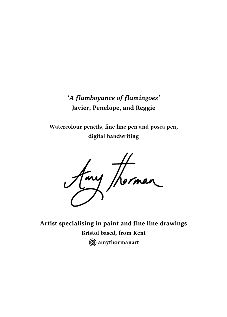 Flamingoes_back of card.png