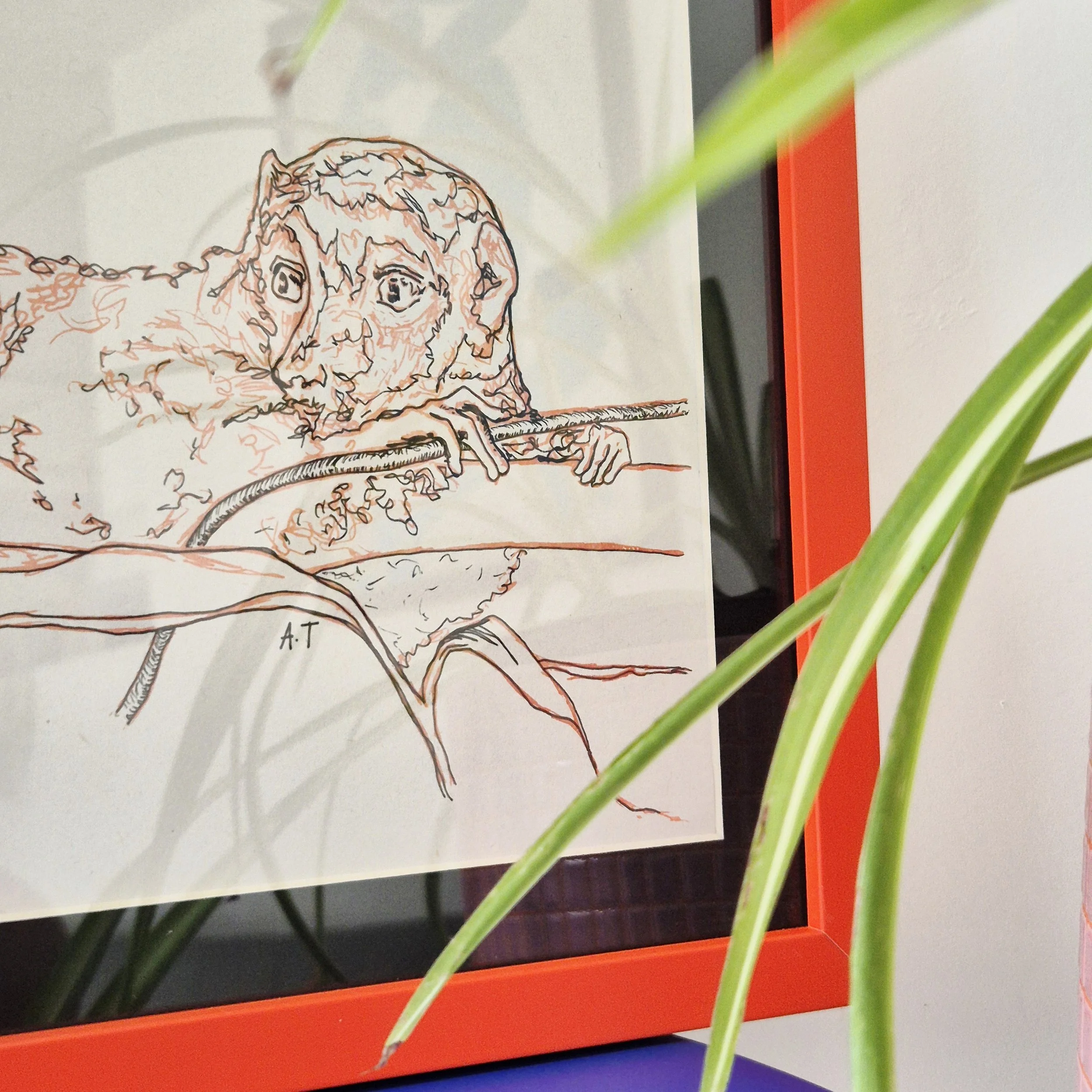 Framed Lemur Screenprint