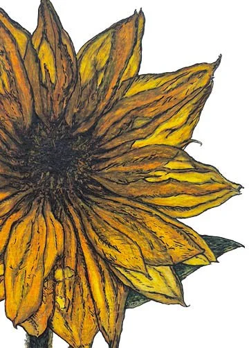 5x7 sunflower_single pages3.jpg