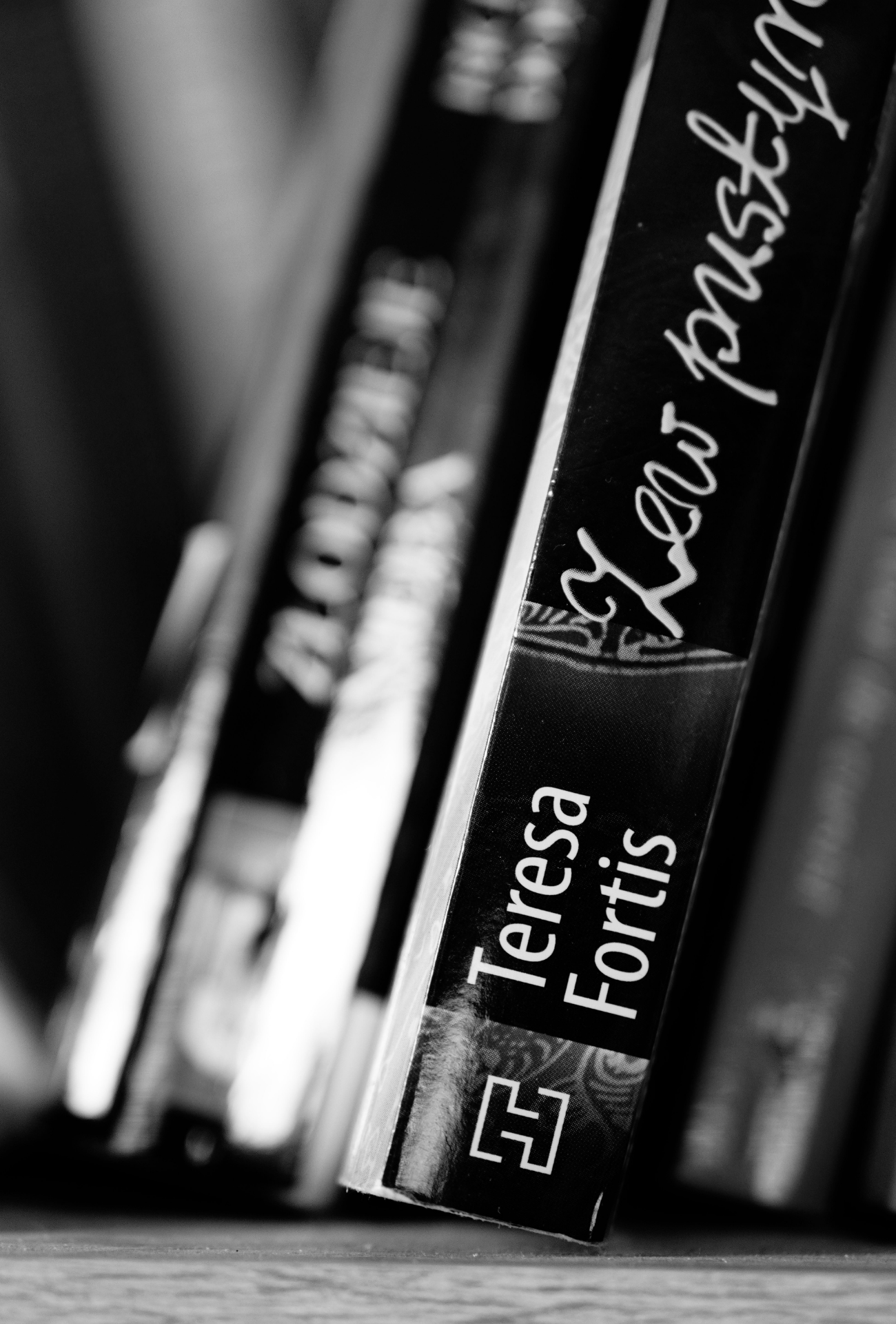 Close-up of board game boxes on a shelf, with one labeled 'Teresa Fortis' in black and white.