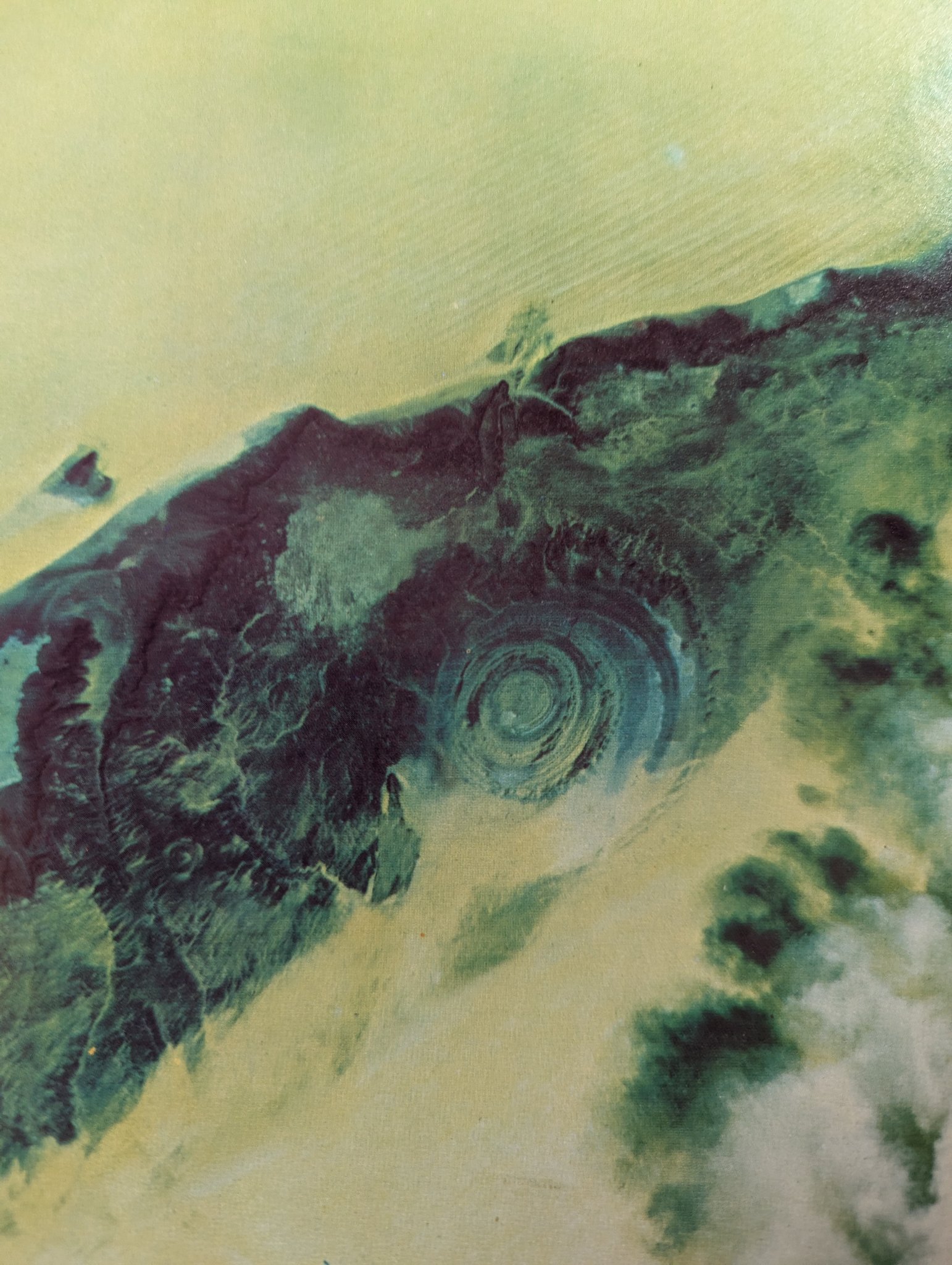 Prophet 60091 | The Pink Hydra