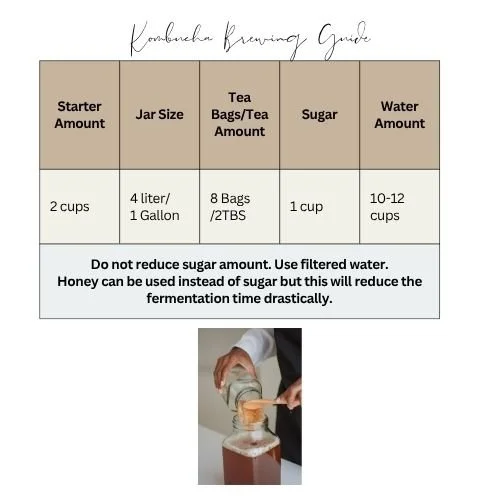 Kombucha ratios.jpg