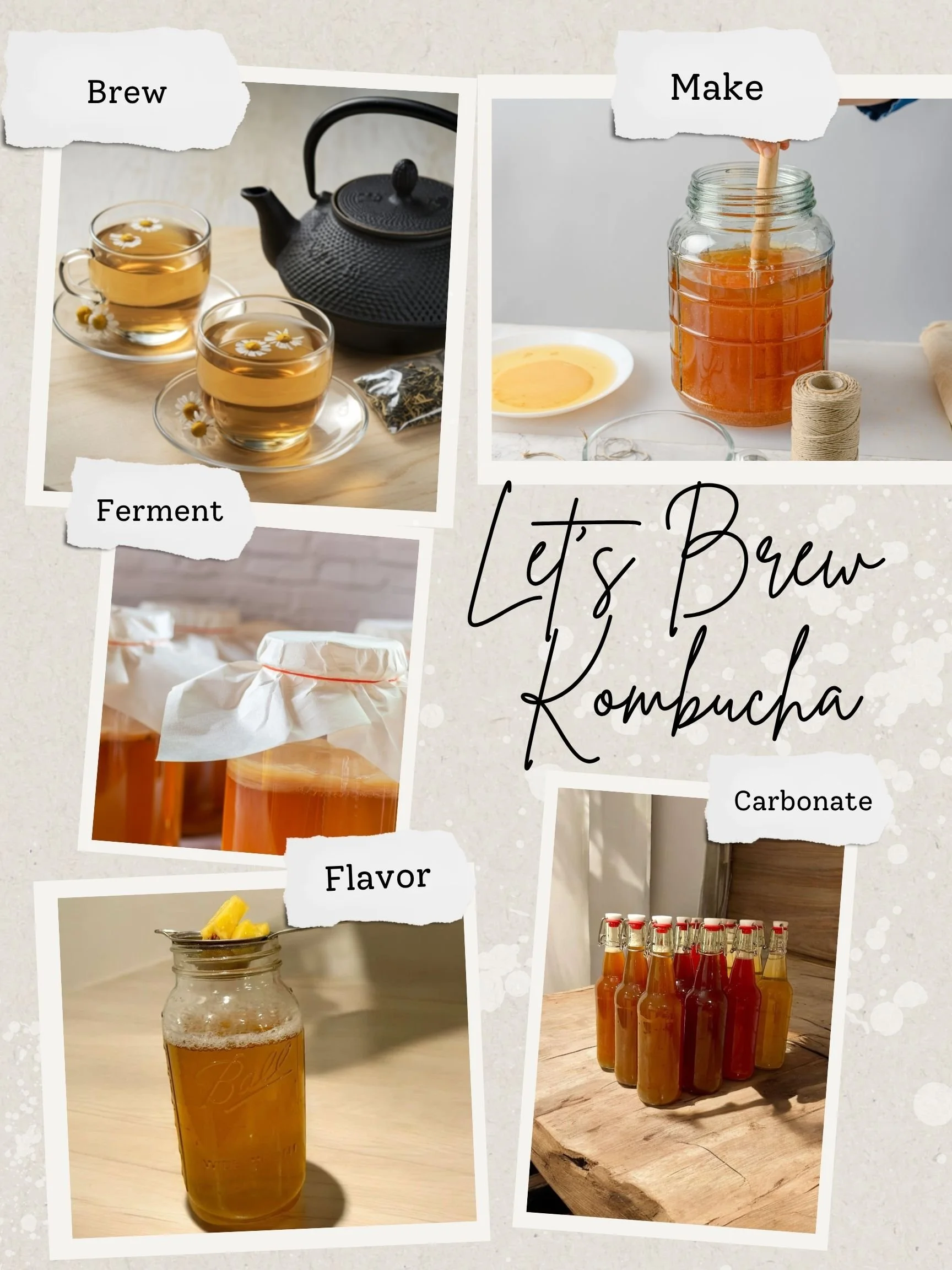 Let’s Brew Kombucha