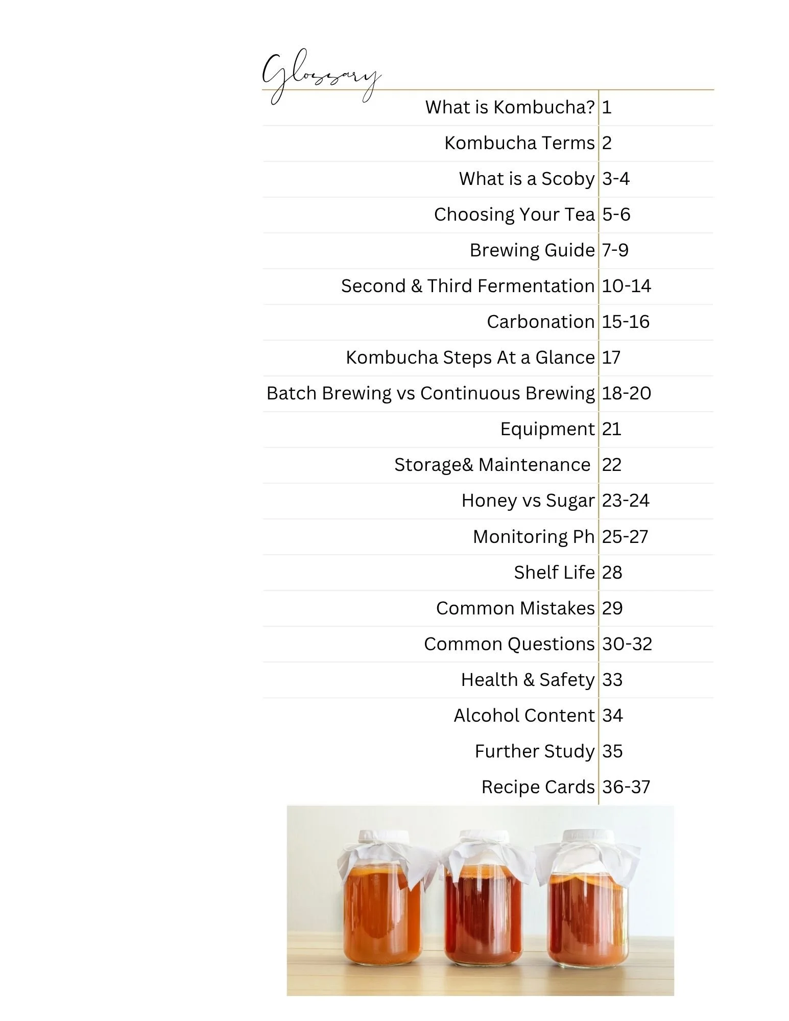 Kombucha Guide Glossary.jpg