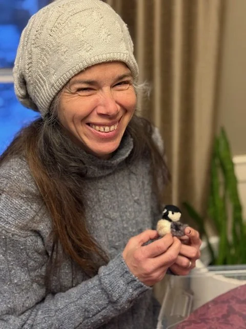 Intro to Needle Felting - Custom Birds
