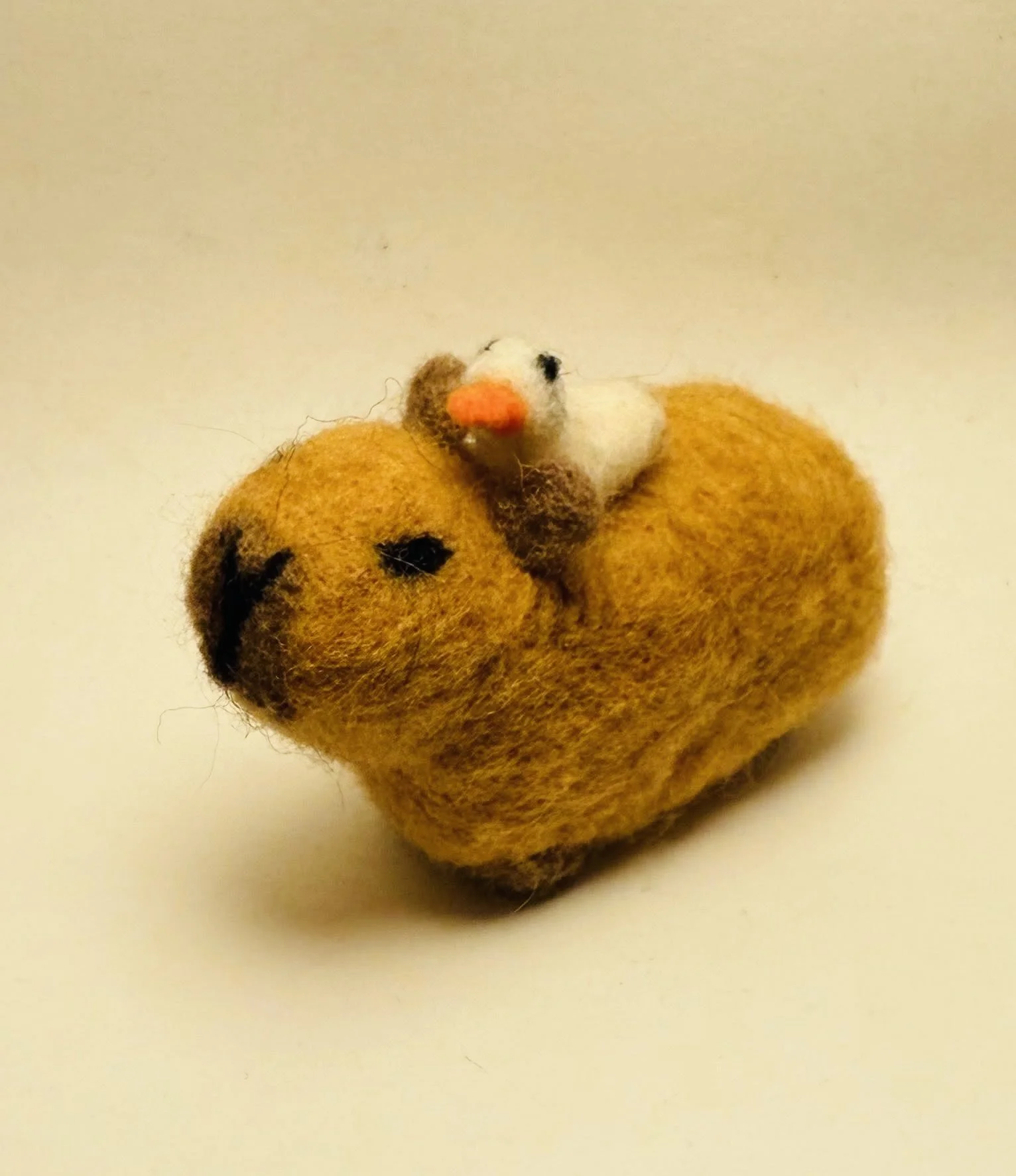 Capybara with a duck on its back
