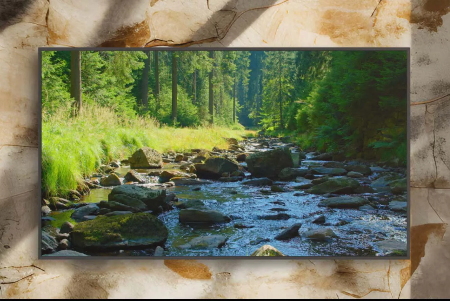 Sony Professional Display On an wall