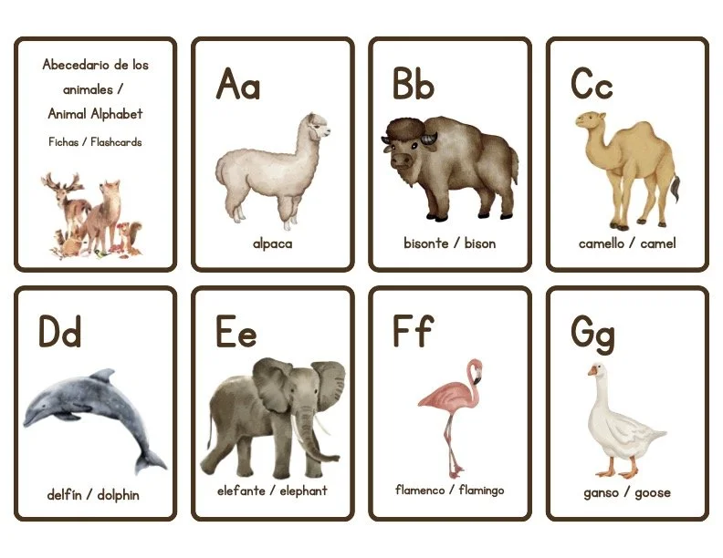 SMALL Bilingual Spanish English Phonics Flashcards, Initial Sounds