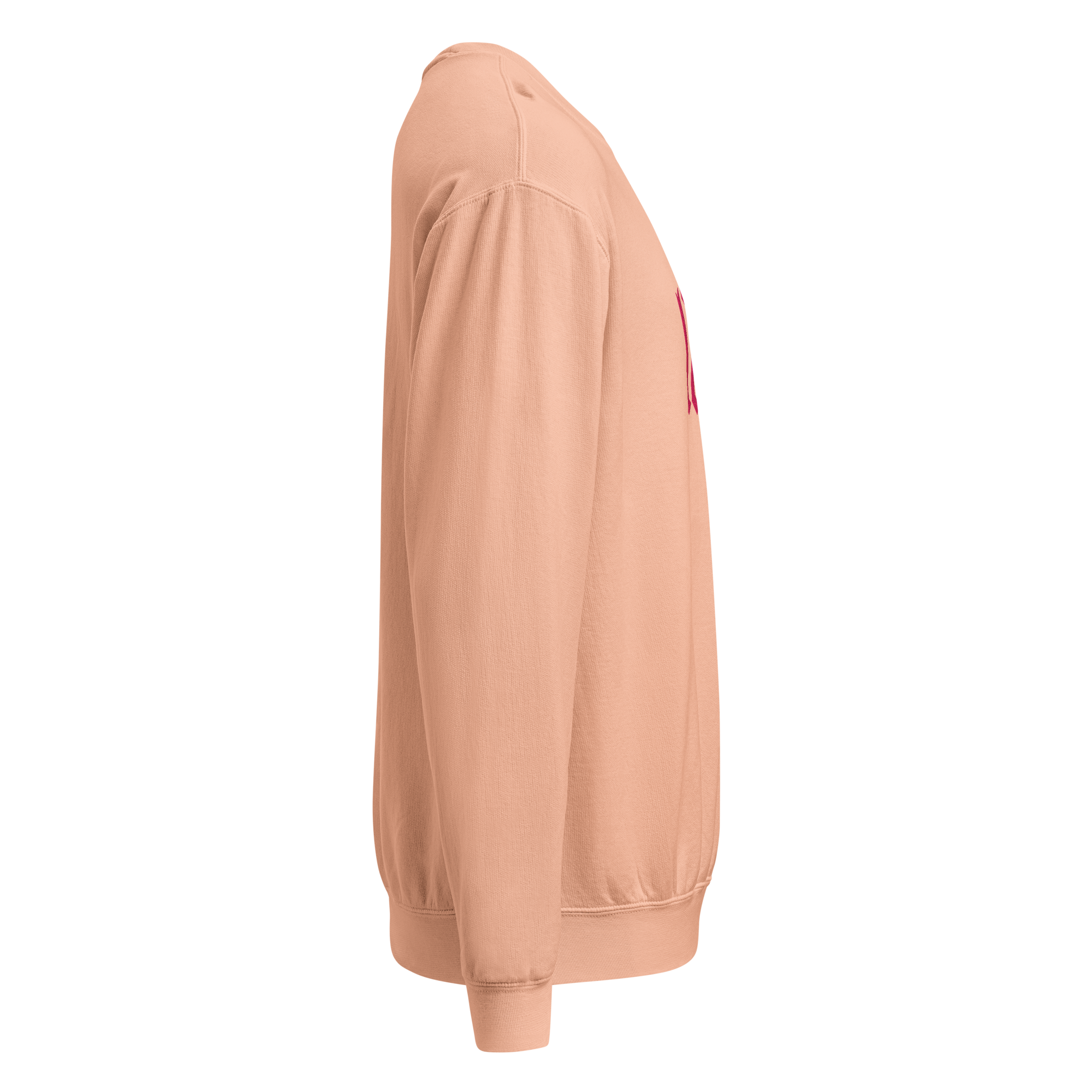 ONE RSN | ONE LOVE Embroidered crewneck sweatshirt