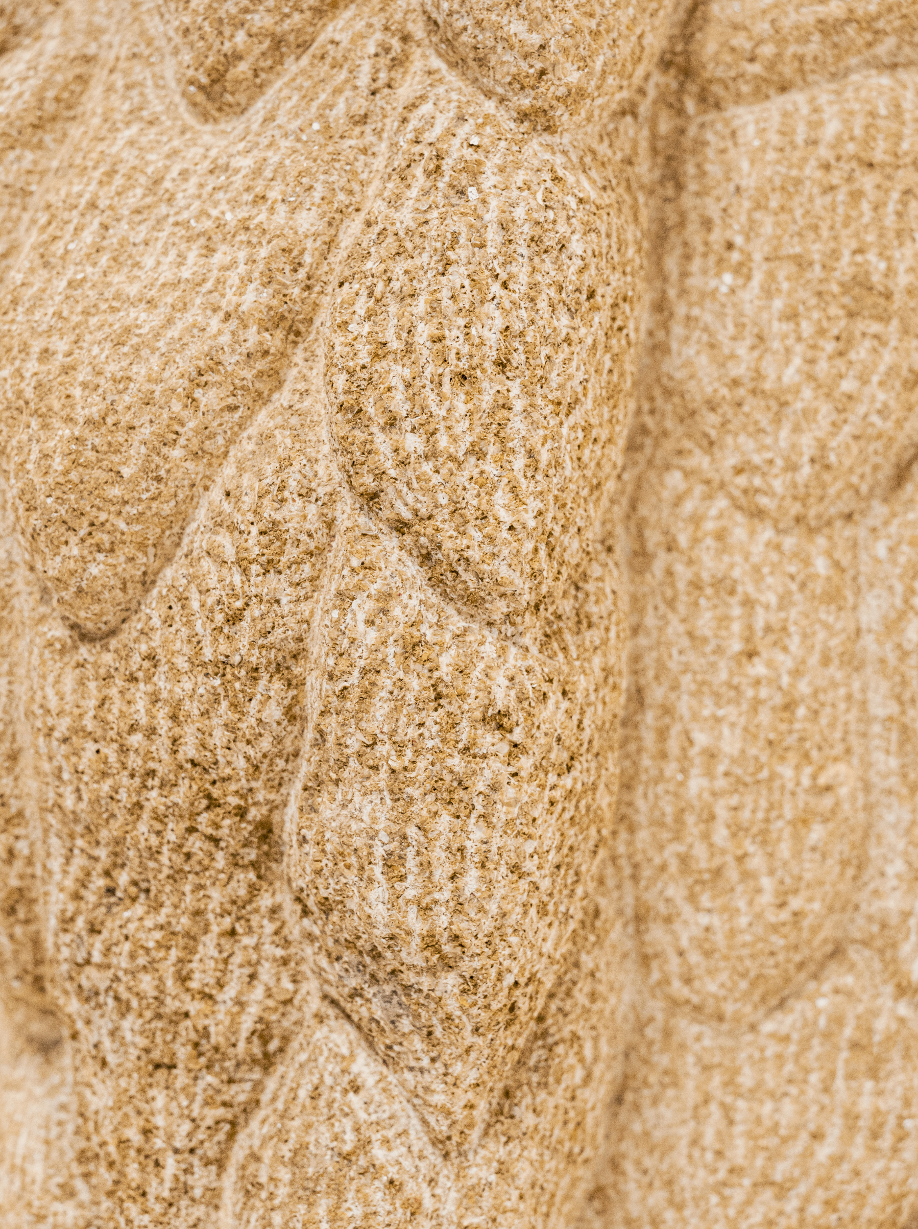 Capture d’écran 2026-03-03 à 14.43.10.png