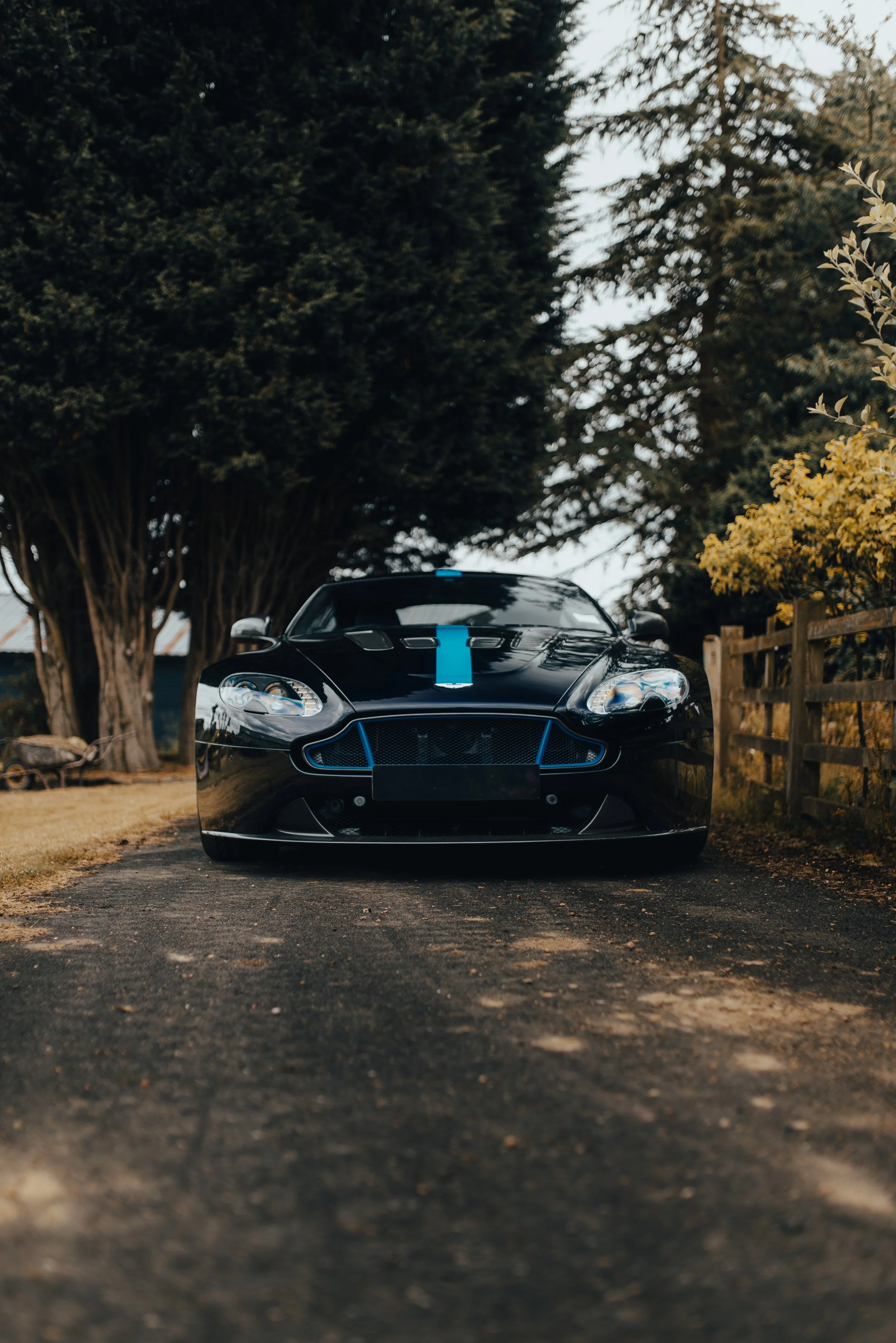 A black sports car with blue accents parked on a gravel driveway surrounded by trees and a wooden fence.