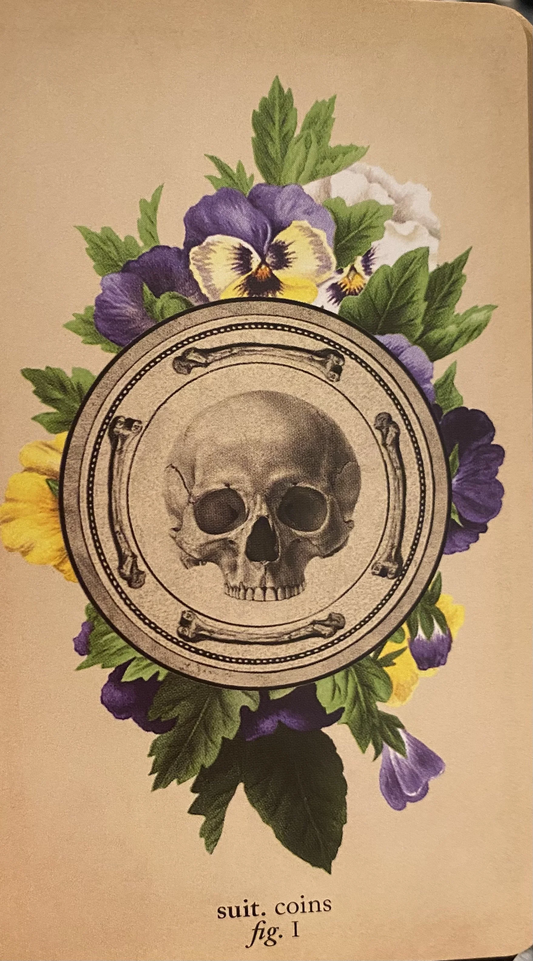Antique Anatomy Tarot Readings - 45 minutes