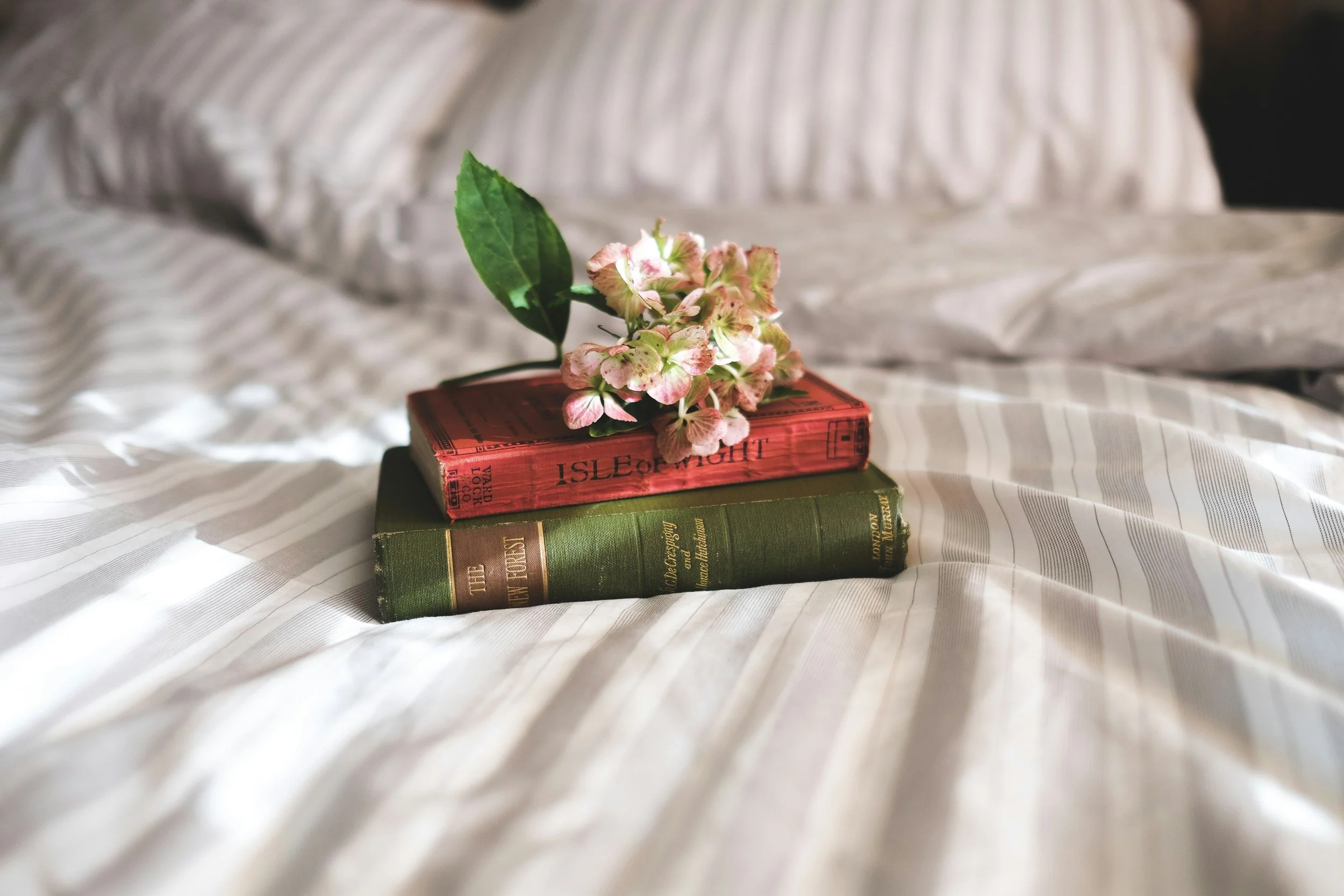 Akashic Records Reading - 50 minutes