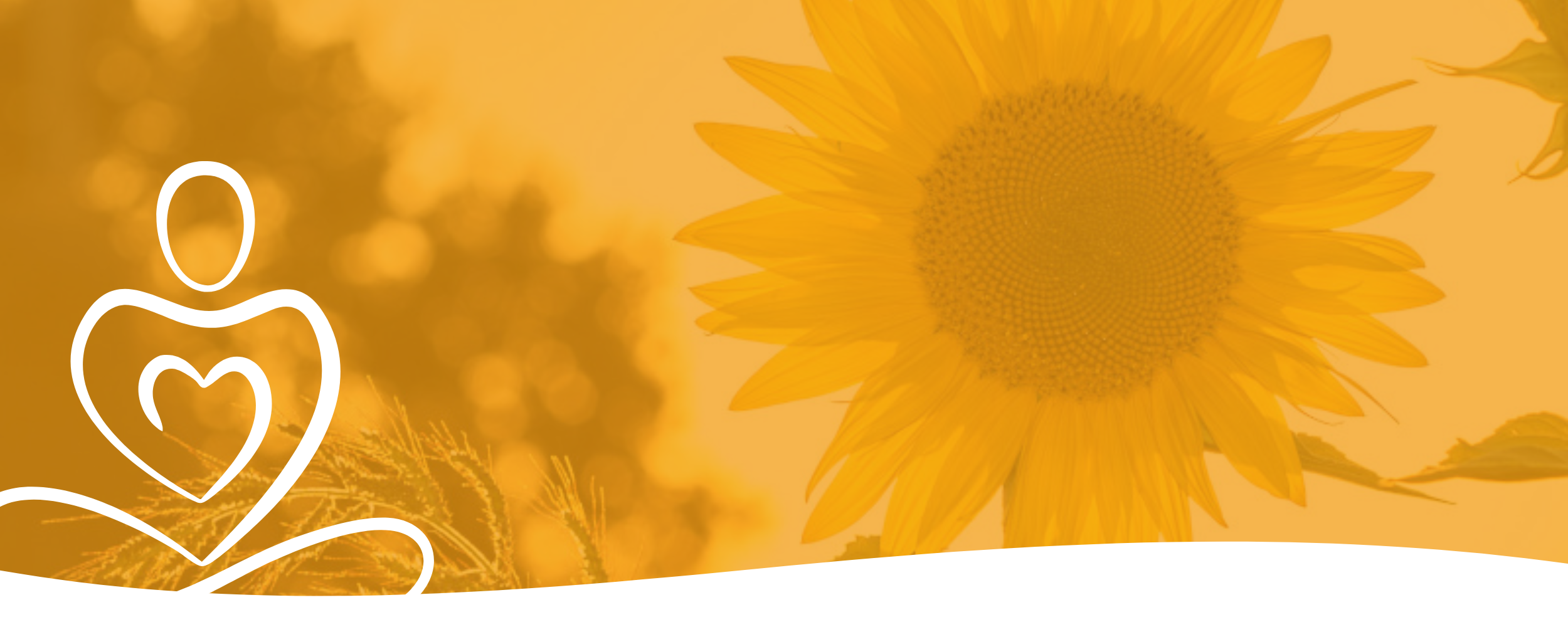 A picture of a sunflower symbolising the warm and welcoming community at Heart Jewel Centre  