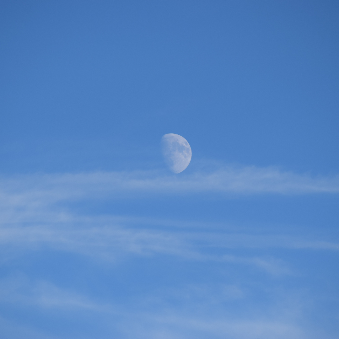 Clarity and Calm - a meditation day retreat