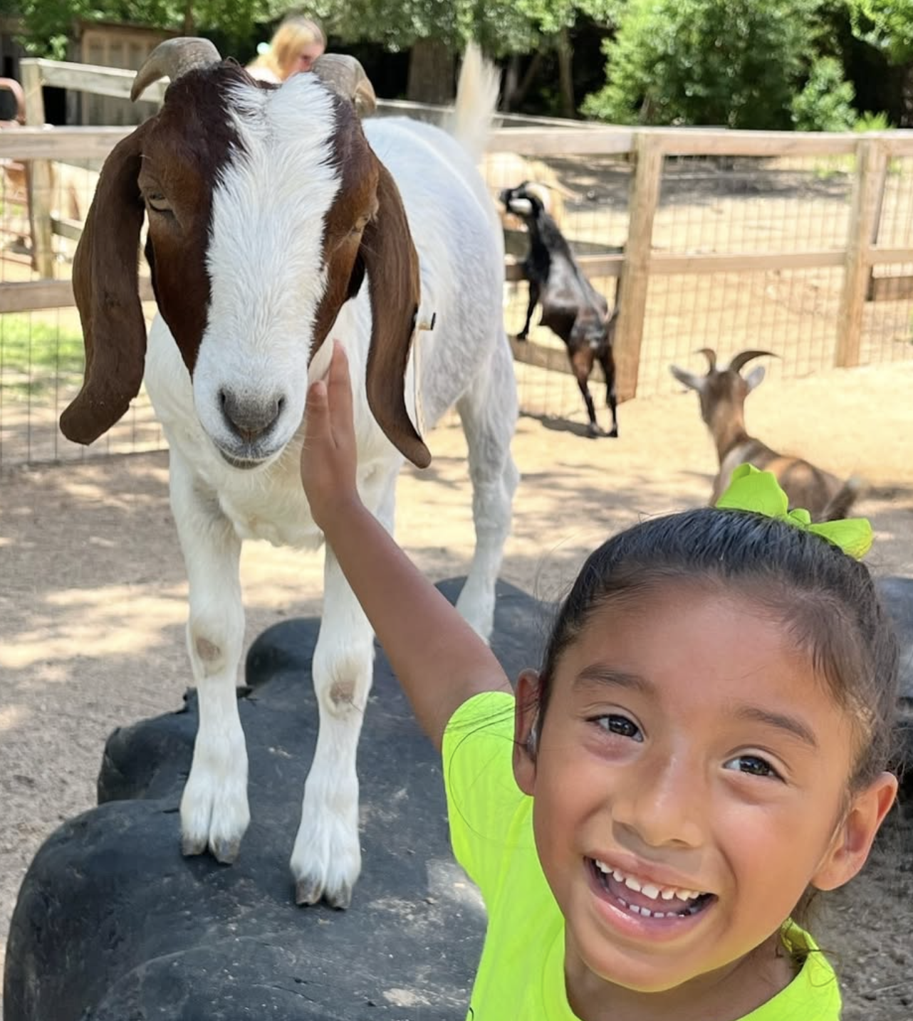 Children playing outdoors on the playground at Visionary Preschool in Houston