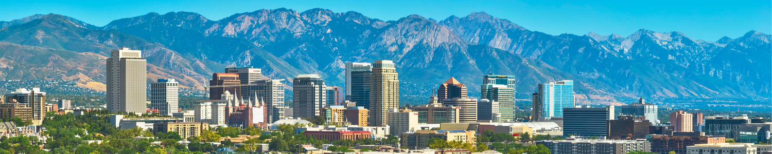 Thrive Supported Employment services banner