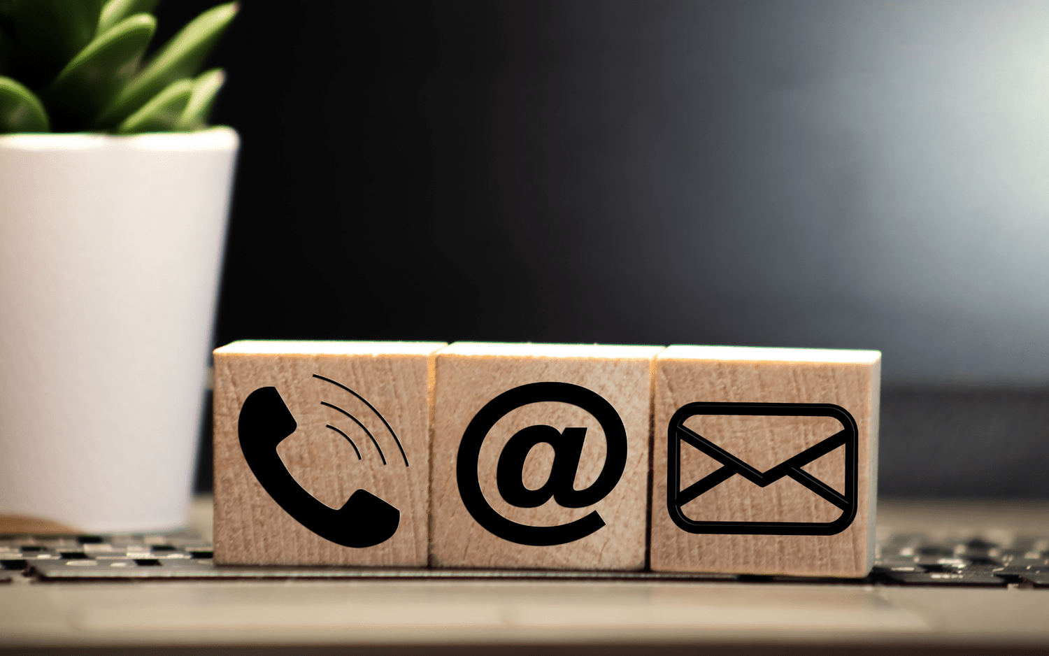 Thrive Supported Employment, contact and support