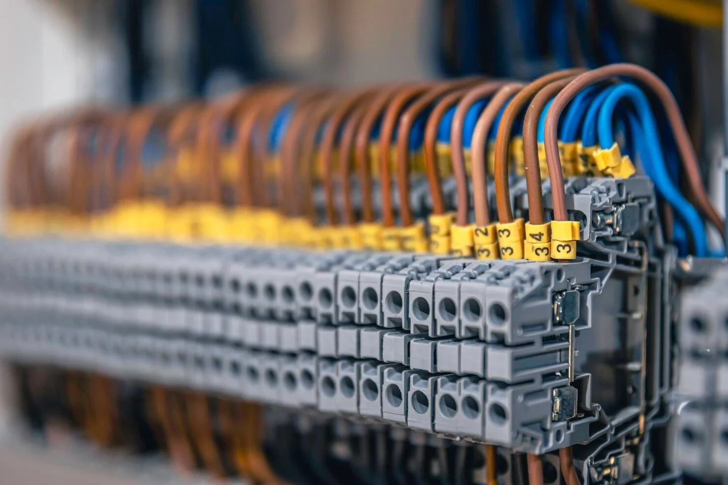Patch Panels & Terminations