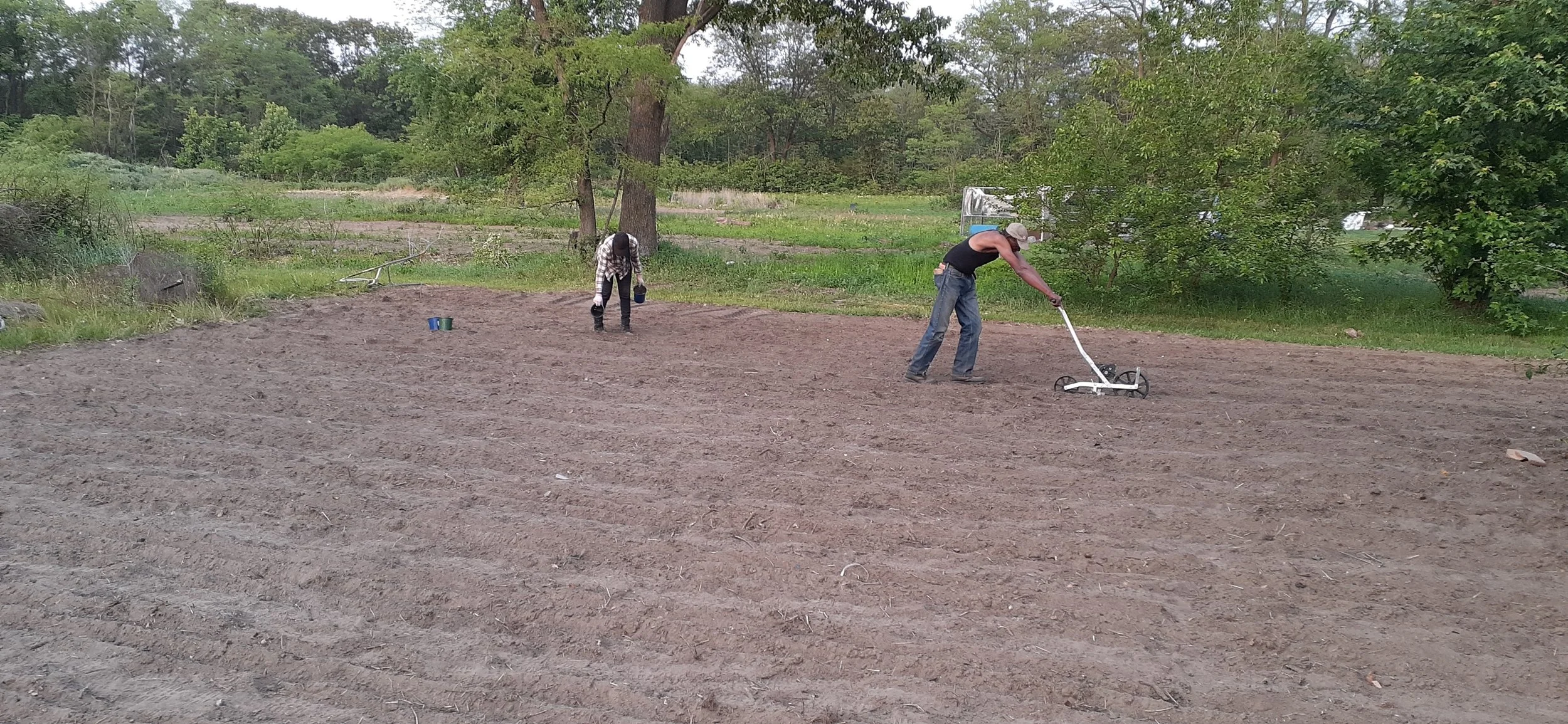 Farmers at Brownstone direct sow seeds at their location in Kankakee County.