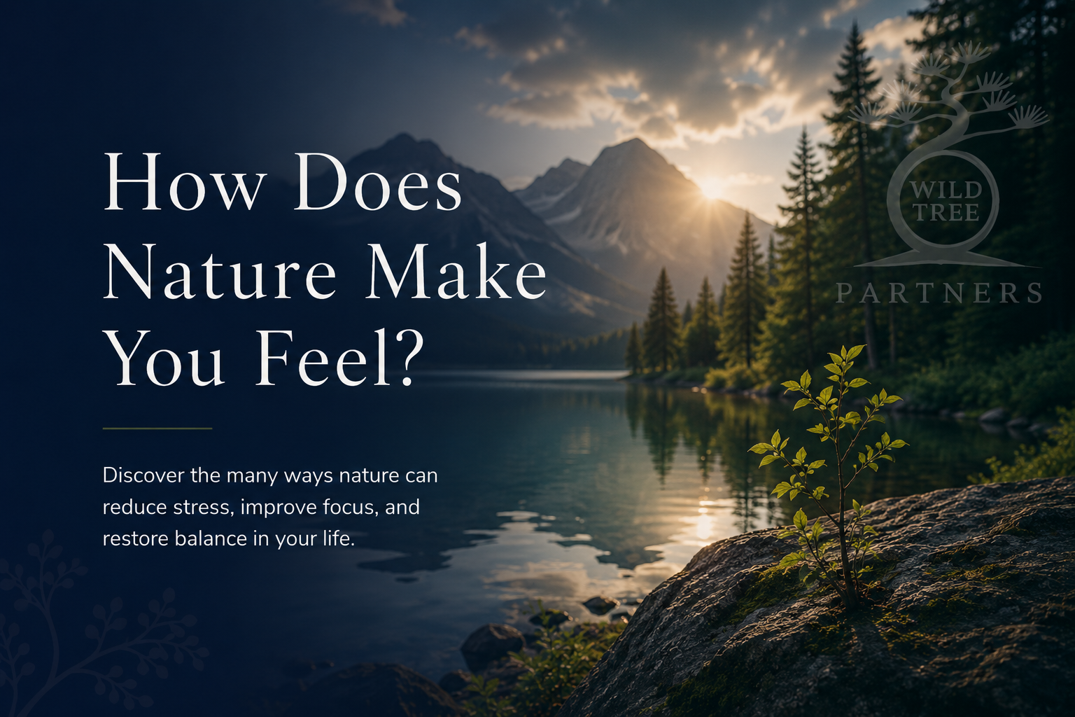 How does Nature Make you feel?