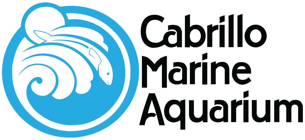 Cabrillo Aquarium