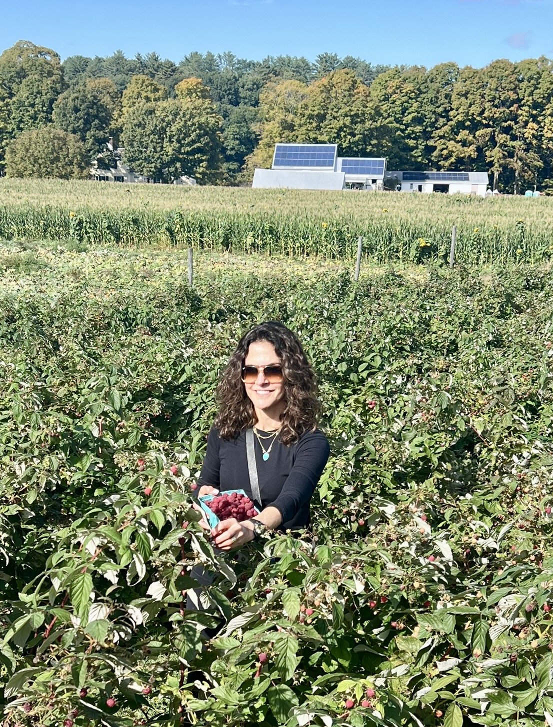 A woman with curly brown hair, wearing sunglasses and a black top, standing in a raspberry field during daytime, holding a container of freshly picked raspberries, with a backdrop of green crops, trees, and solar panels on buildings under a clear blue sky.