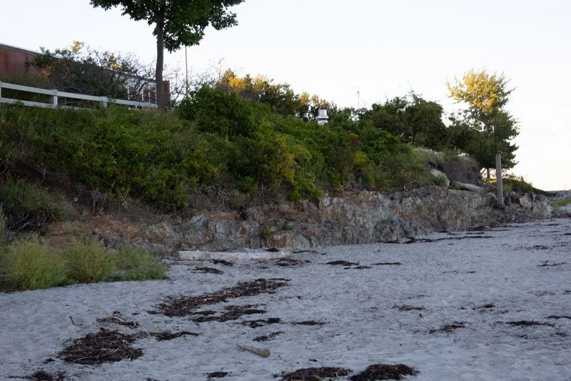 Sandy beach with seaweed and rocks, hillside with bushes, trees, and a wooden post in the background.