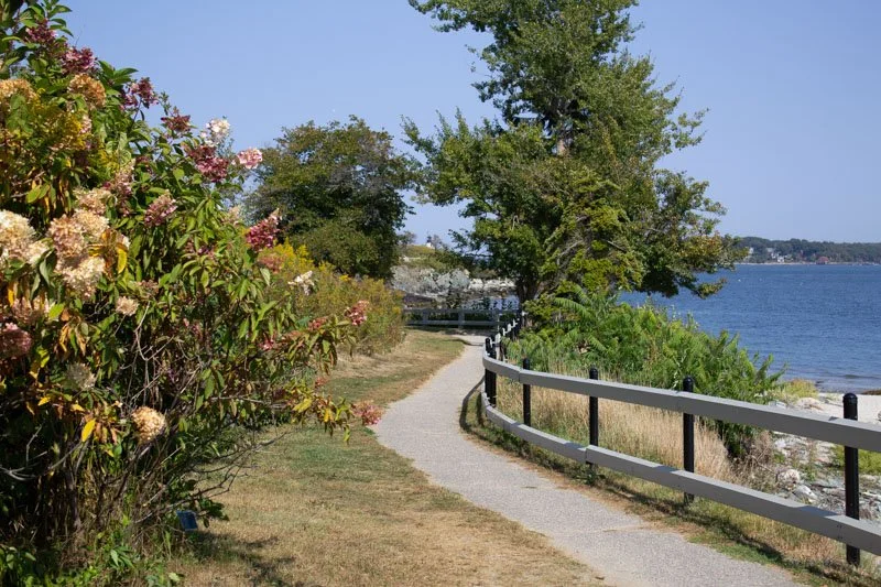 A scenic riverside pathway with colorful bushes on the left and a white fence on the right, alongside a large tree, leading to a distant shoreline across the water.