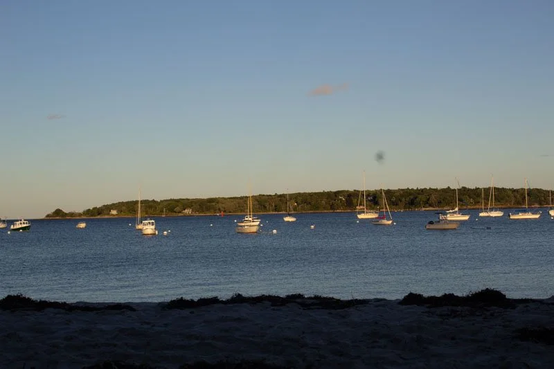 Calm body of water with sailboats anchored near a shoreline and trees in the background under a clear sky.