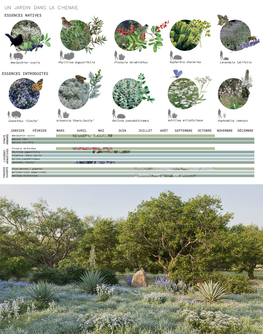 Une illustration d'un jardin dans la Chenaie avec différentes plantes indigènes et introduites, montrant leur floraison selon les mois, et une photo de paysage avec des arbres et des arbustes dans un environnement sauvage.