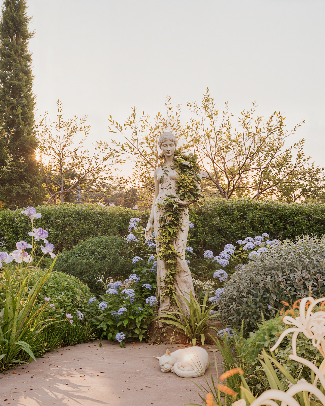 Statue romantique de femme dans un jardin avec des fleurs à parfums semblant observer en secret un chat blanc endormi au sol.