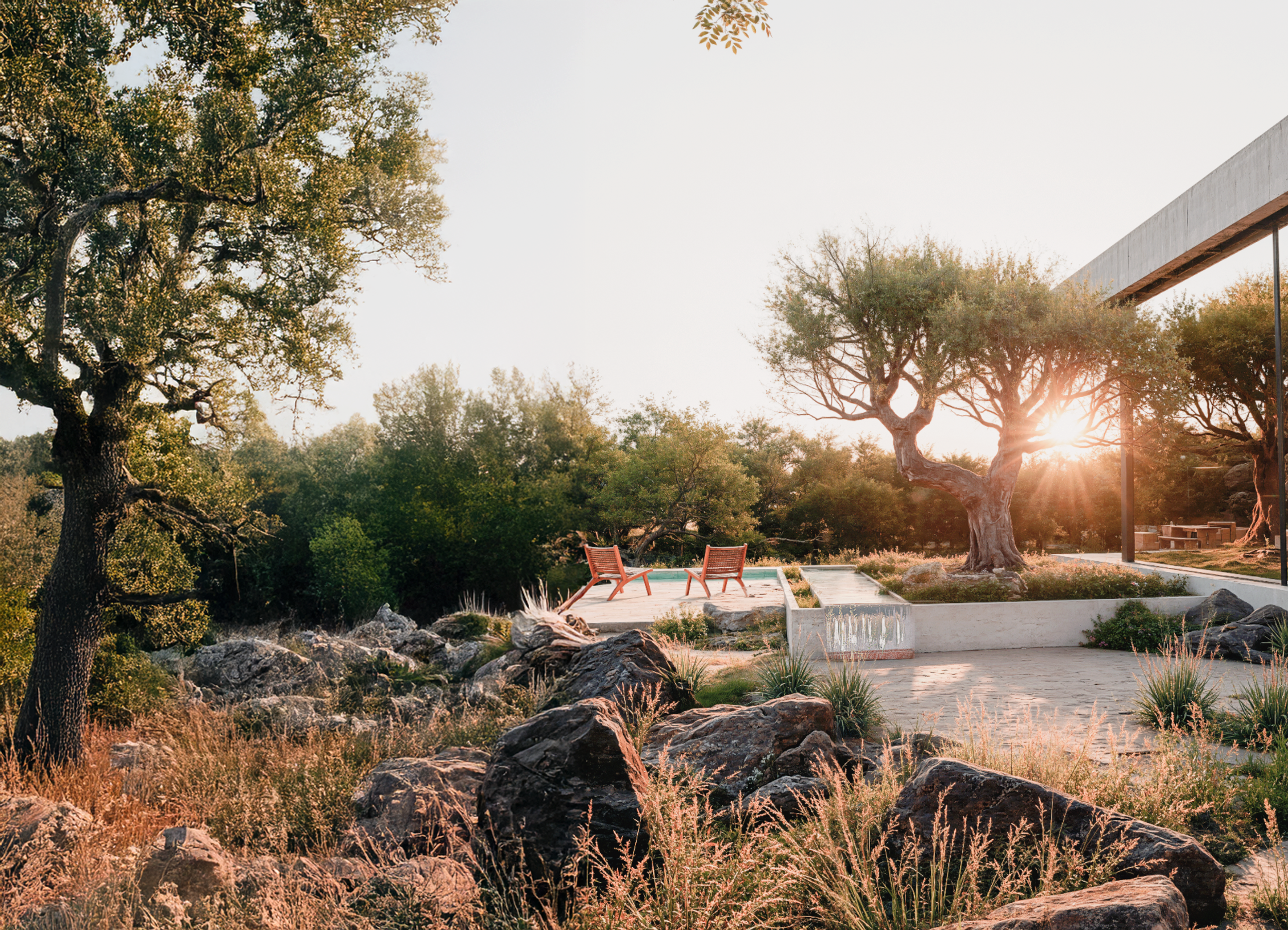 Un paysage de jardin avec des chênes, des rochers, deux chaises en bois, une piscine, et le soleil couchant à travers les branches d'un olivier.