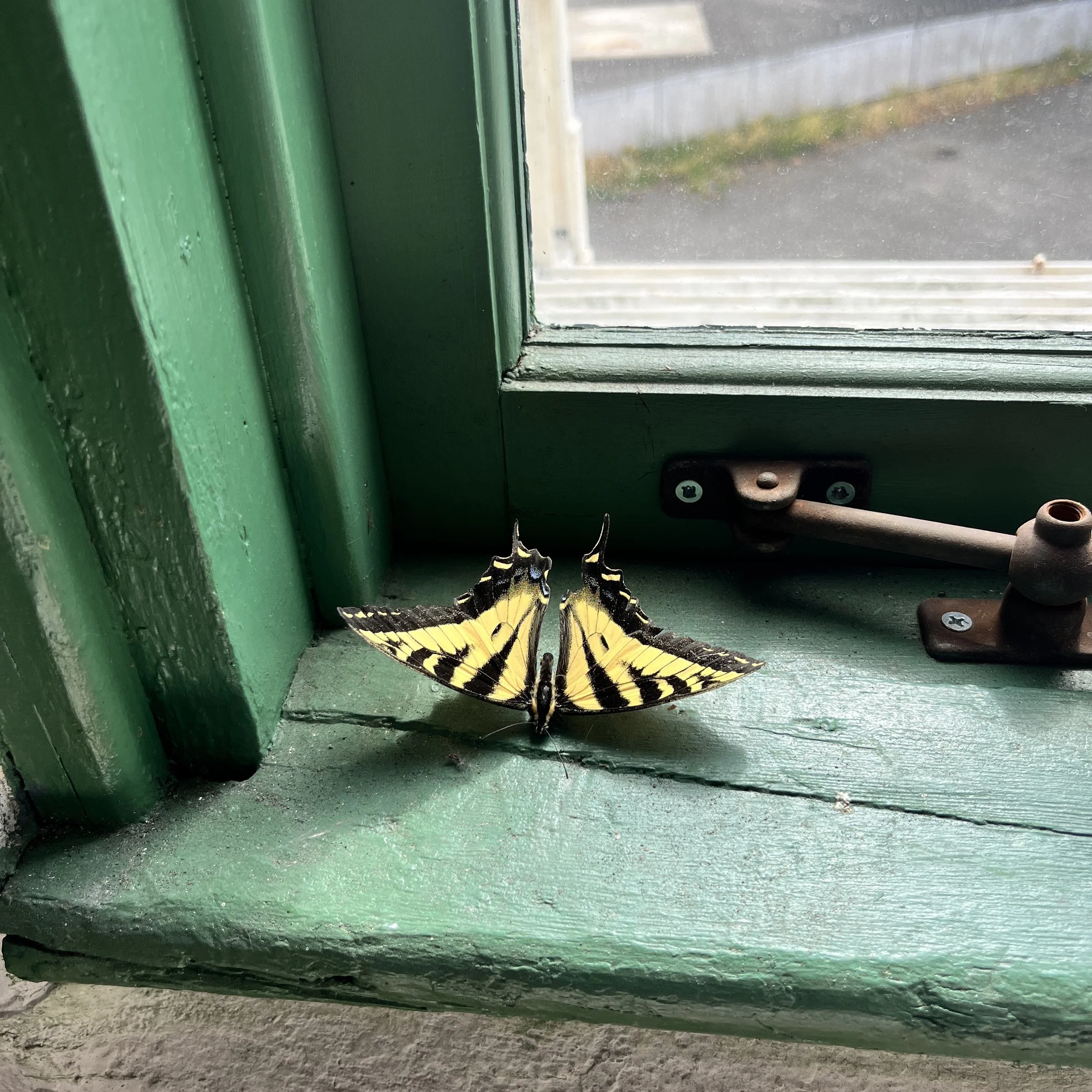 IMG_5891.jpeg