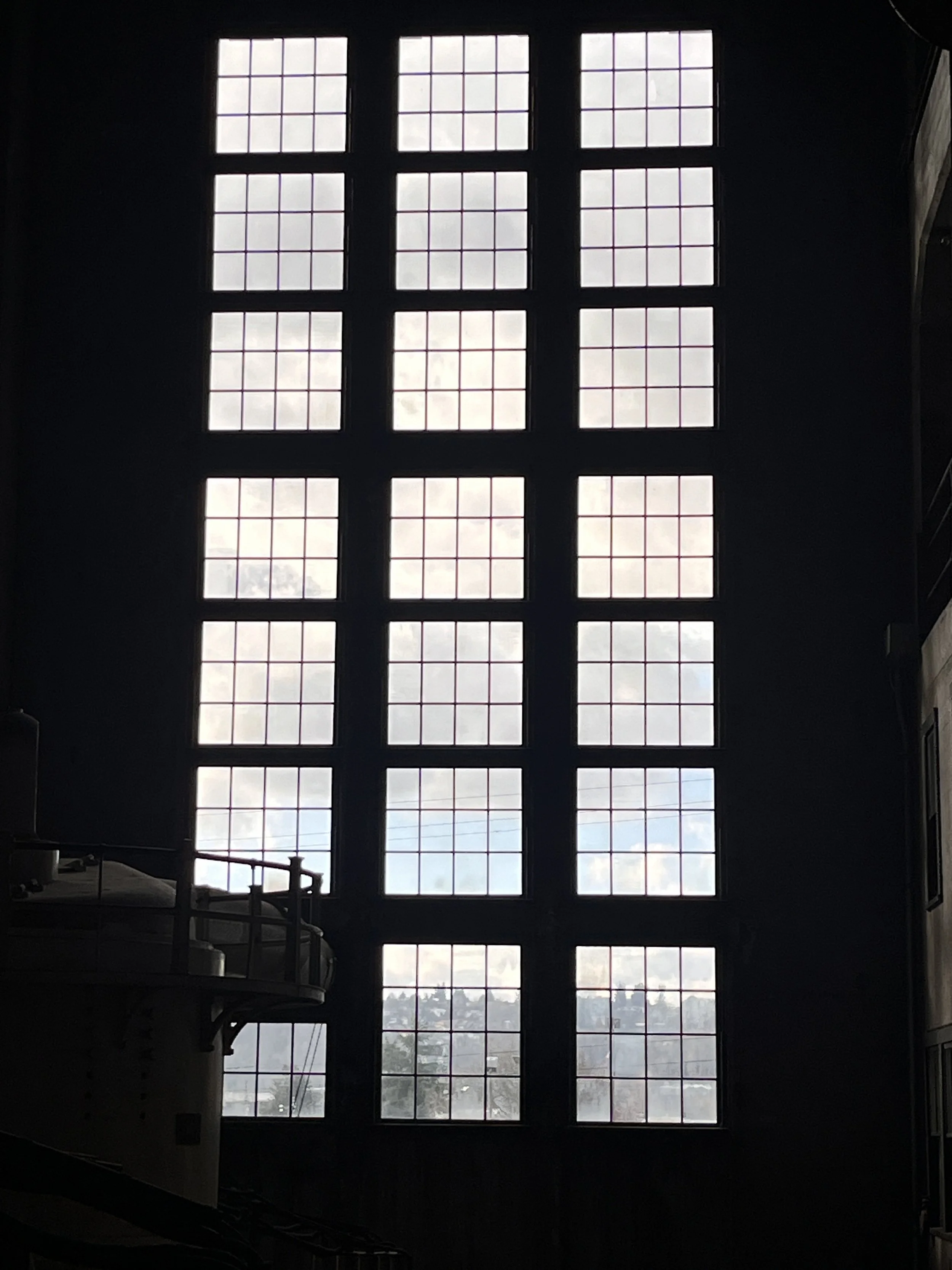 IMG_7036.jpeg