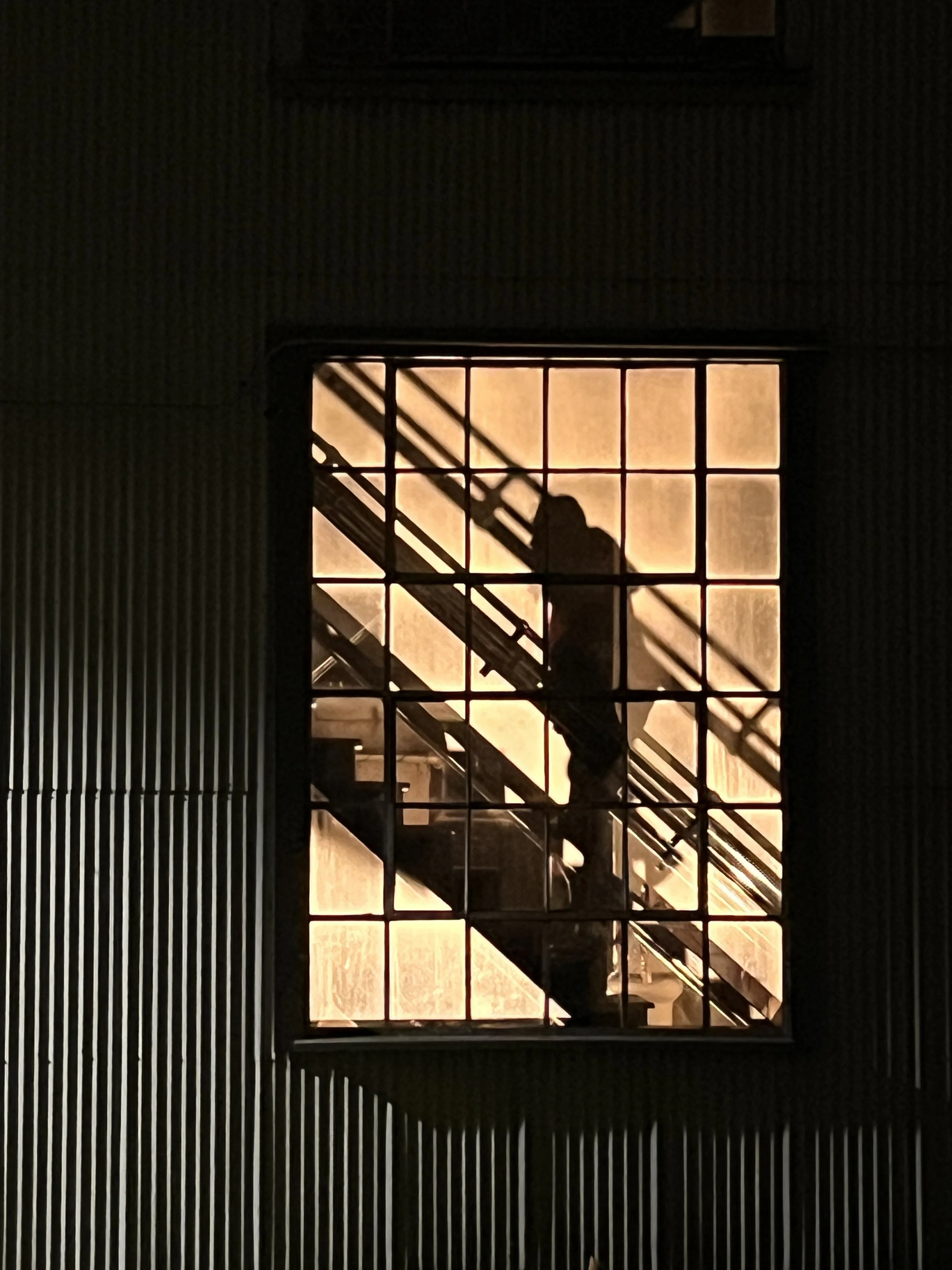 IMG_6876.jpeg