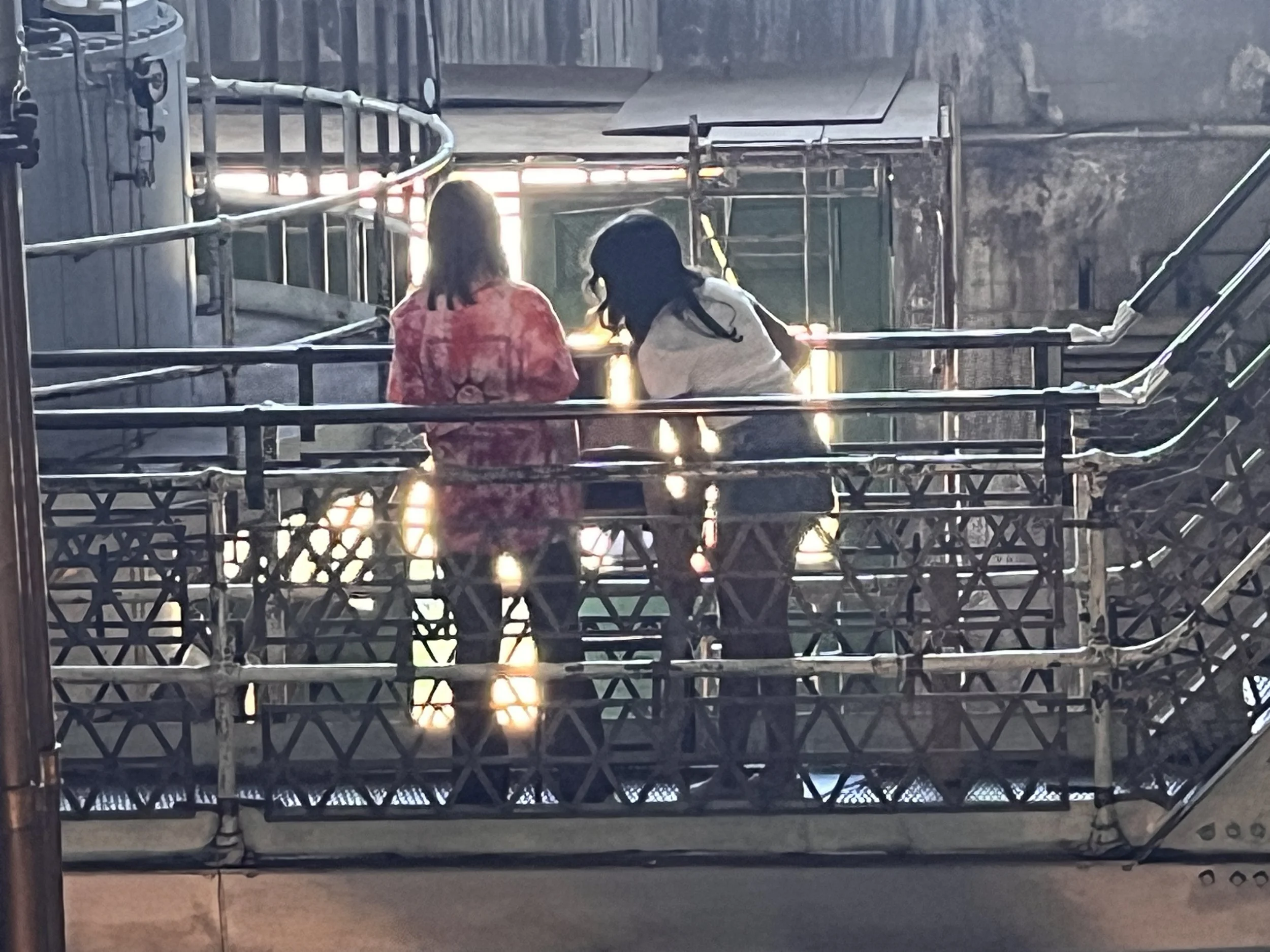 IMG_9526.jpeg